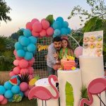 Flamingo Theme outdoor party Celebration