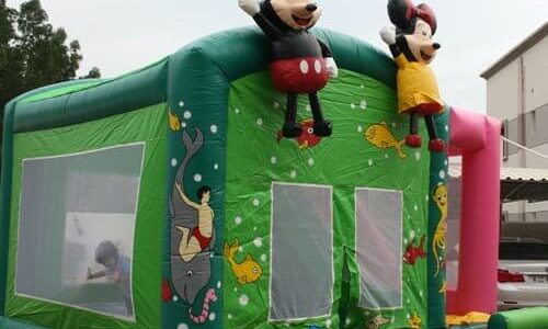 Kids Birthday Party Mouse Bouncy
