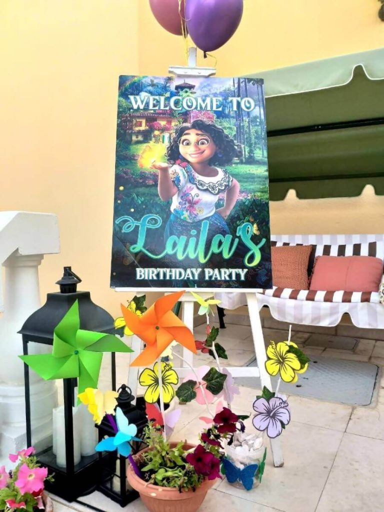 Encanto Birthday Party Decoration
