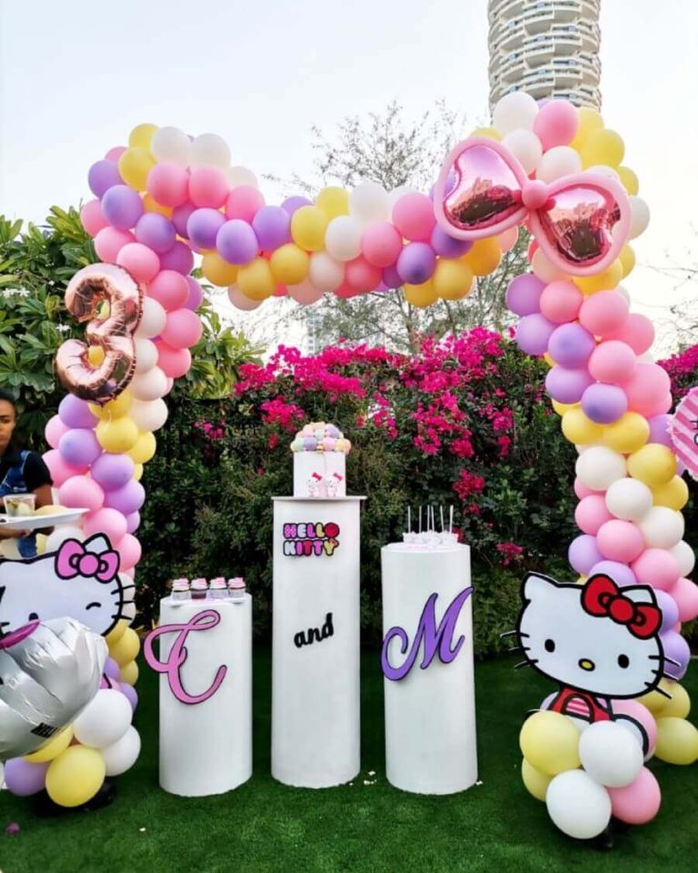 Kitty Theme Outdoor Party Decor
