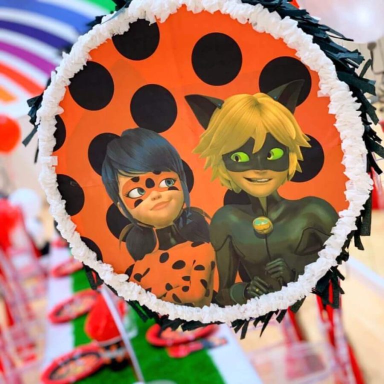 Ladybug Theme Decoration