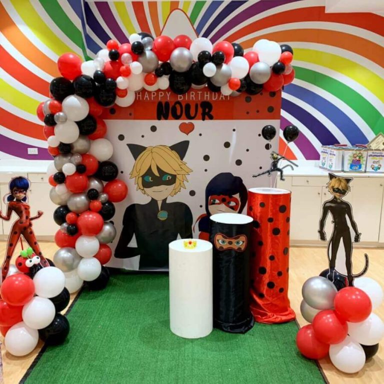 Ladybug Theme Party Decoration