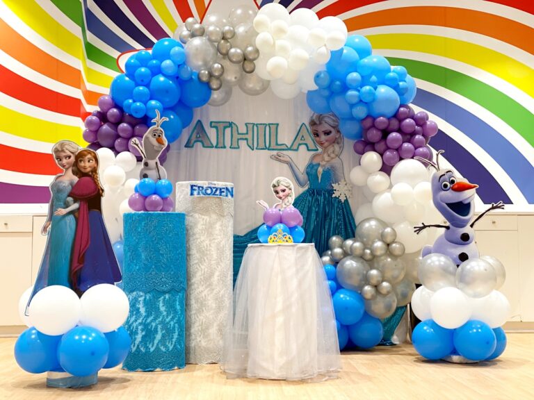 Frozen Theme Birthday Backdrop