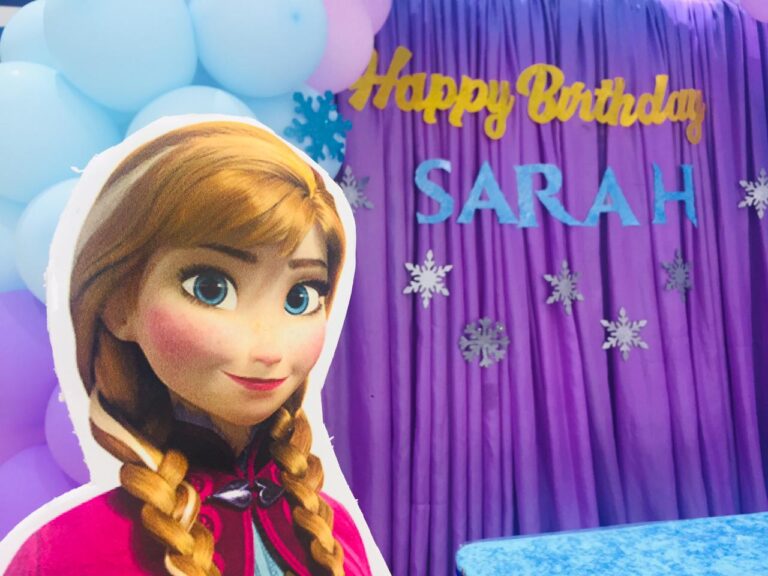 Frozen Theme Birthday Decoration