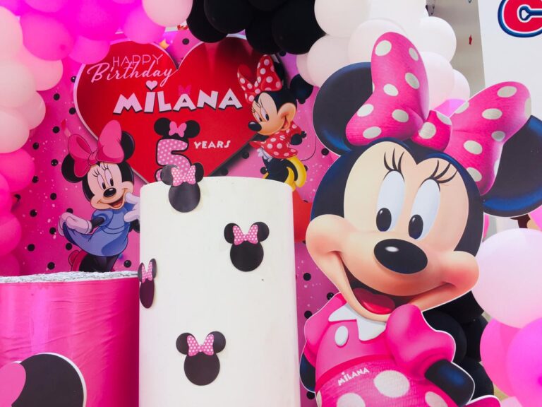 Minnie Mouse Birthday Decoration