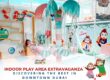 Kids Indoor Play Area Extravaganza