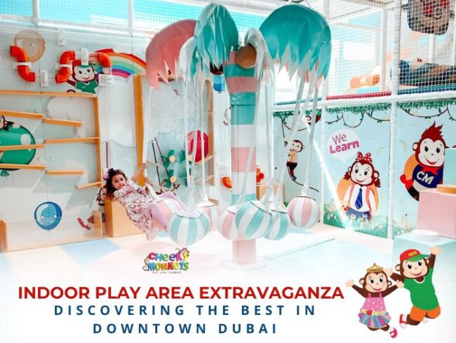 Kids Indoor Play Area Extravaganza